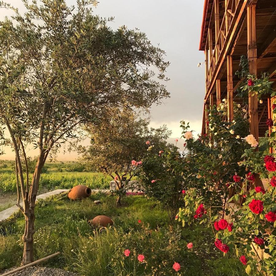Kardanakhi Elizbar Talakvadze Winery 빌라 외부 사진