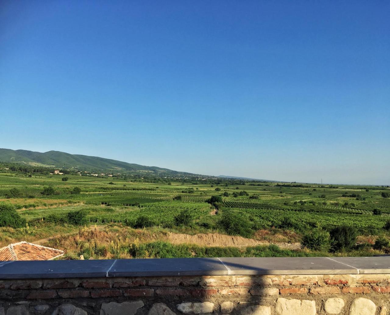 Kardanakhi Elizbar Talakvadze Winery 빌라 외부 사진